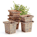 Miniatyrbillede 1 af 5: Engros - Kokosfiber Spande Urte Blomsterpotter 6 stk. Plantebakke til Haven