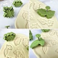 Miniatyrbilde 3 av 5: Grønt Blad Lønneblad Form Kakeform Kake Dekorering Form Sett Kake Stempel for Jul Vår Høst.