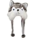 Plysj Moro Husky Lue