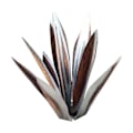 Miniatyrbilde 1 av 5: Rustikk Skulptur, DIY Metall Agave Plante, Rustikk Håndmalt Metall Agave, Hagegårds Kunstdekorasjon