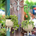 Miniatyrbild 3 av 5: Swing Face Planteringskrukor, Söt Väggmonterad Hartsblomma för Inomhus & Utomhus, Suckulenter/Kaktuskorg