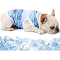 Miniatyrbild 1 av 5: Hund kylväst Sele, andas Cool Pet Cooler Väst, Pet Jacka Mesh Andas kyljacka för små medelstora hundar Utomhus promenader Vandring Blue M