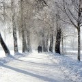 Miniatyrbild 4 av 5: Vinter Touchscreen Sticka Handskar Tjocka texthandskar för män med varmt ullfoder