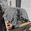 Miniatyrbilde 2 av 5: Hagebuer for netting, hagebuer drivhusramme, drivhusramme hagebuer, DIY drivhusbuesett, polytunnel støtteramme for hage