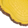 Miniatyrbillede 5 af 5: Reptilfoderbassin Imitation Bark Firben Havskildpadde Foderbassin til Akvarier Fisketank