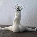 Miniatyrbillede 4 af 5: 2 STK Sjov Stor Numse Spøgelse Plantekasse, Prank Gave Dekor Plantekasse Luftbregne Display Stand, Stor Numse Spøgelse