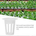 Miniatyrbillede 2 af 4: 100 stk. Drivhus Hydroponisk Net Pot Jordløs Dyrkning Plante Blomst Dyrkningskurv Hvid