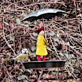 Miniatyrbillede 4 af 5: Pige Fuglefoderhus med Paraply Fuglestation Metal Hængekæde og Krog Foderhus kompatibelt med Vild Have Bi