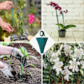 Miniatyrbilde 1 av 4: 50 stk. grønne plantestøttepinner bambusstøttestenger med 30 yard papirteip og 50 plantebånd klatreplante stake plantepinne (15 tommer / 38
