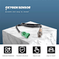 Miniatyrbild 2 av 5: 0258006027 O2 Syresensor Passar till Berlingo C2 C3 C4 C5 C6 C8 för 206 306 307 407 för NO 1618Z6 162