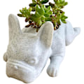 Miniatyrbild 1 av 5: Liten Suckulentkruka för Hundar, Växtkruka i Resin, Fransk Bulldog Formad Blomkruka, Mini Valp Växtkruka