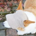 Miniatyrbilde 5 av 5: Brun Hund Solhatt Mote Avslappet UV-Beskyttelse Pustende Ørehull Justerbar Kjæledyrhatt for Utendørs Reiser Camping Brown