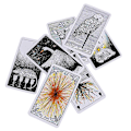 Miniatyrbilde 4 av 5: 78 stk The Wild Unknown Tarot Deck Rider-waite Oracle Set Spåkort