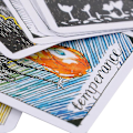 Miniatyrbilde 5 av 5: 78 stk The Wild Unknown Tarot Deck Rider-waite Oracle Set Spåkort