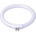 Miniatyrbilde 1 av 5: 11w T4 Sirkulær Fluorescerende Pære Fluorescerende Pære 11w T4 Rund Lampe Tube Lys Tube Forstørrelsesglass Lampe Tube