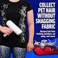 Miniatyrbilde 5 av 5: Chom Chom Roller Dyrehårfjerner og Gjenbrukbar Lint Roller - ChomChom Katt- og Hundefjerner for Møbler, Sofa, Tepper, Klær og Sengetøy - Po