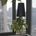 Miniatyrbillede 4 af 5: Omvendt Blomsterpotte, Himmelplanter, Himmelhængende Vandingsblomsterpotte, Blomsterpotte med Vandopbevaring Dekoration til Have Balkon Hus (Sort)