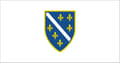 Bosnisk flagg (1992-1998)