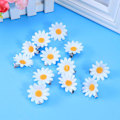 Miniatyrbillede 4 af 4: 12 stk. Daisy hårklemmer søde små blomster hårnål blomster hårklemme flerfarvet hår bar C