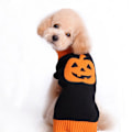 Miniatyrbillede 1 af 5: Græskar hundetrøje Halloween kæledyrstrøjer kat og hvalp feriefest Halloween jul kæledyrssved