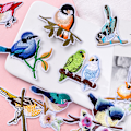 Miniatyrbillede 4 af 5: Stryge-på patches, 13 stk. fugle stryge-på patch sy-på patch applikation