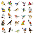 Miniatyrbillede 2 af 5: Små Fugle (Små) Vægstickers Mural Stickers Soveværelse Børneværelse Stue væg adhsif maison