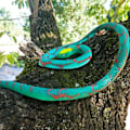 Miniatyrbillede 4 af 5: Simuleret gummislange falsk rød python 1 stk. dyrelegetøj Halloween eller aprilsnar-spøg og fangsttilbehør D