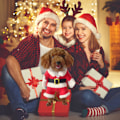 Miniatyrbild 4 av 5: Jul husdjurskläder söta tomtekläder för hund jul husdjurskläder med tomteluva