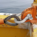 Miniatyrbilde 4 av 5: 2 stk 1/2 tommers 304 rustfritt stål D-ring shackles 11,72 mm skruestiftsanker shackle for trekkståltråd, 11,72 mm O