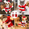 Miniatyrbild 3 av 5: Jul husdjurskläder söta tomtekläder för hund jul husdjurskläder med tomteluva