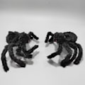 Miniatyrbillede 5 af 5: 3-delt Realistisk Edderkop 50 cm Lang - Simuleringsdyremodel Scare Toy - Stor Fleksibel Elasticitet - Stressaflastning F