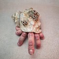 Miniatyrbillede 3 af 4: Finger Crab Statue, Fingercrab Creepy Weird Realistic Horror Resin Model, Desktop Ornament Halloween