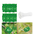Miniatyrbild 1 av 5: （5cm）Växtrottillväxtlåda 12 st Rotade enhet Växtförökning Högtrycksboll Rooter Box Gr