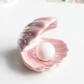 Miniatyrbillede 4 af 5: Shell Pearl Light Led Accent Lampe Bærbar Natlampe - Pink C