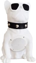 Bluetooth-högtalare Fransk Bulldog Art Bluetooth-högtalare, Portabl