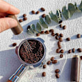 Miniatyrbillede 5 af 5: 2X Kaffeomrører Espresso Dispenser Værktøj Bærbar, 6 Nåle Valnød Farve