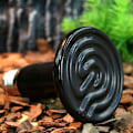 Miniatyrbillede 5 af 5: 200W 220V Keramisk Varmepære med Infrarød Emitter Reptil Dyr Varmelampe Sort