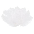 Miniatyrbillede 3 af 5: 200 stk. Hvide Strudsefjer 20-25cm Bryllup DIY