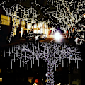 Pikkukuva 3 / 5: Meteori Sade LED-Suihkuvalot 192 LEDiä 30cm 8 Putkea Ulkokäyttöön Joulu Raindrops Cascading Hääjuhliin Puutarhaan Joulukuuseen Juhlaan