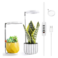 Miniatyrbillede 4 af 5: Vækselys til indendørs planter, Spectrum Halo LED-lys med automatisk højdejusterbar timer, til planter