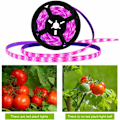 Miniatyrbilde 3 av 5: LED plantelysstrimler Vanntett Full Spectrum Innendørs Plante Sukkulent Hydroponics Drivhus Hagearbeid USB Lysstenger(3M)