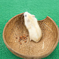 Miniatyrbilde 5 av 5: Halve kokosnøttskallbiter, kokosnøttskall som avls- og gjemmested for smådyr, dekor for akvarium for smådyr (ø 10-14 cm)