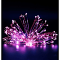 Miniatyrbillede 1 af 5: Feerie Lys, 3M 30LED Lysstreng Batteridrevet Mini LED Indendørs Dekoration til Soveværelse Jul Bryllup Fest Hjem Have, Lilla (1 stk)