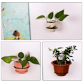 Miniatyrbild 3 av 4: Väggmonterad blomkrukehållare med ring, 5 tum, 6 st krokar