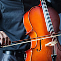 Pikkukuva 3 / 5: 3 kpl Viulun Jousikarvan Vaihtosetti 29,2 tuuman Viulun Jousikarvan Vaihtotyökalut Musiikkijousikarva Viulun Hevosenkarva, Valkoinen