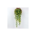 Miniatyrbillede 2 af 5: 2 stk. Kunstig Ivy Kunstig Grøn Hængende Planter til Fest, Bryllup, Køkken, Have, Kontor Dekoration Gul