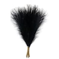 Pikkukuva 1 / 5: Teko Pampas Ruoho, 18 Tuumaa/45Cm Teko Pampas Ruoho Pörröinen 5 Varren Pompous Ruoho Kukka-Asettelu (Musta)
