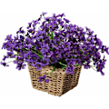 Miniatyrbillede 3 af 5: 10 Bundter Kunstige Udendørs Blomster UV-Resistente, Fadedfri Falske Violetblomster til Indendørs/Udendørs Hængende Planter, Have, Terrasse, Veranda, Vindue, Hjem