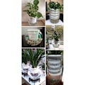 Miniatyrbillede 5 af 5: Højde Mesh Pot Net Cup Plante Kurv Hydroponisk Plante Vokse Have Have Værktøjer-Sort