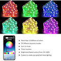 Miniatyrbild 2 av 5: Dekorativ lampa String Inomhus USB Bluetooth Mobil APP Intelligent Styrning Koppartrådslampa String (5m)